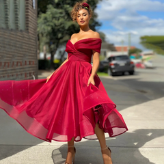 Mariah Carey Dress Dinner Dress Elegant Pleated Dress